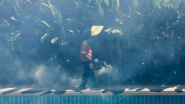 Lingkungan ketiga Miami yang dikenal sebagai Little River telah dikonfirmasi sebagai daerah transmisi zika.