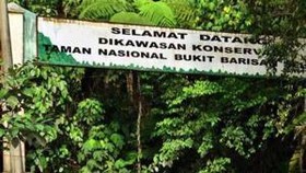 Genjot Wisata, Lampung Gelar Festival Taman Hutan Raya