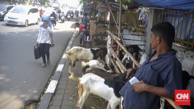 Pedagang hewan kurban di Tanah Abang yang berjualan di trotoar dapat peringatan. Jika diabaikan, Pemprov DKI akan mencabut KJP dan BPJS mereka.