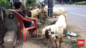 Warga Cari Cara Berkurban di Sekitar Pacuan Kuda Pulomas