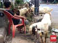 Warga Cari Cara Berkurban di Sekitar Pacuan Kuda Pulomas