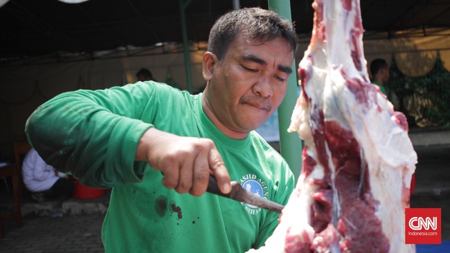 Untuk menyiasati kurangnya pasokan daging sapi pemerintah membuka keran impor daging sapi dan sapi baik indukan maupun bakalan.