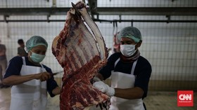 Kemendag Minta Kementan Bertolak ke Brazil Tinjau Daging Sapi