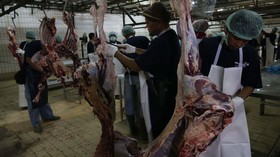 Jelang Idul Adha, Hewan Kurban Jakarta Belum Ada yang Sakit