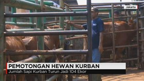 Penurunan Jumlah Pemotongan Hewan Kurban Cakung