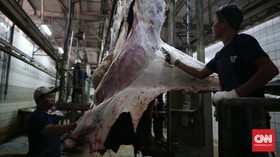 Cacing Hati Ditemukan pada 154 Hewan Kurban di Bantul