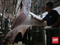 Hewan Kurban Dipotong di RPH Naik, Penjualan Justru Menurun