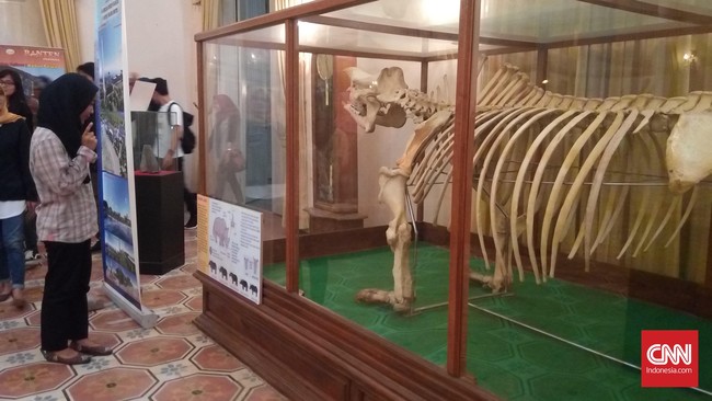 12 Oktober ini adalah hari yang spesial lho teman. Khususnya untuk museum, karena hari ini adalah Hari Nasional Museum Indonesia.