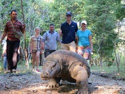 Alasan Flobamor Hengkang dari Taman Nasional Komodo, Terus Merugi!