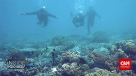 Surga Tersembunyi dari Alor