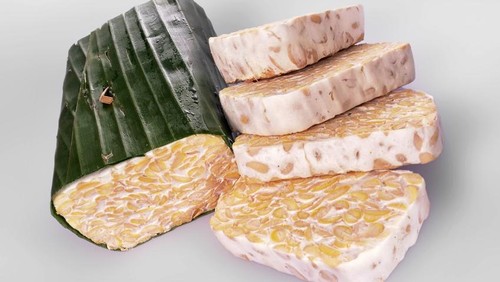 Hasil gambar untuk tempe