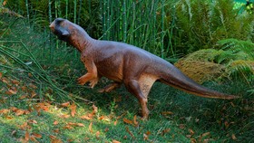 Melalui Warna Tubuh, Peneliti Ungkap Cara Hidup Dinosaurus