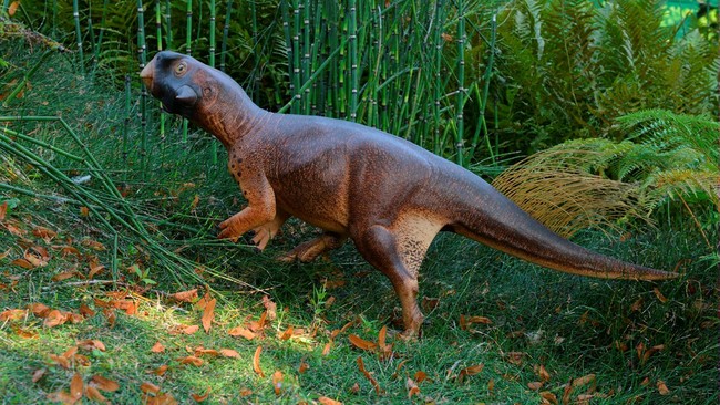 Sama seperti hewan lain, corak warna dinosaurus tidak muncul tanpa tujuan. Corak bisa ada karena mengikuti cara hidup atau merupakan upaya kamuflase dinosaurus.