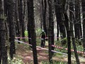 Menpora: Permintaan Rp2,7 T dari Papua untuk PON Masih Dikaji