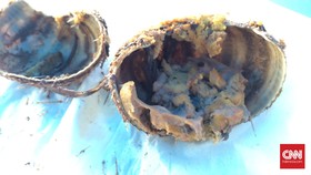 'Perkawinan' Lezat Singkong dan Seafood di Wakatobi