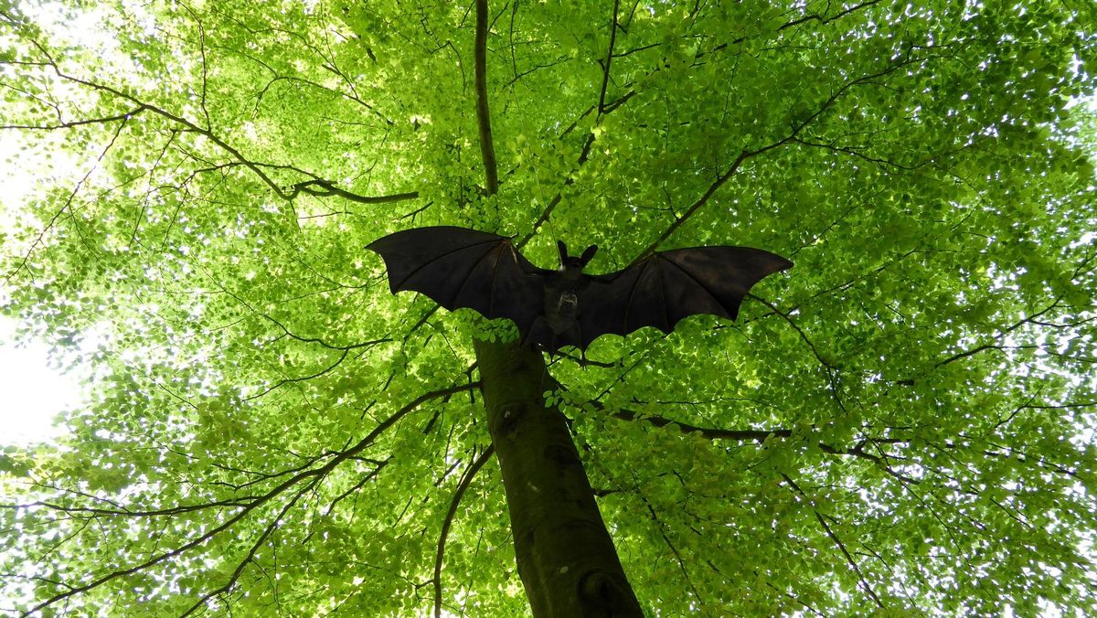 Waspada Virus Nipah, Buang Buah yang Ada Tanda Gigitan Kelelawar