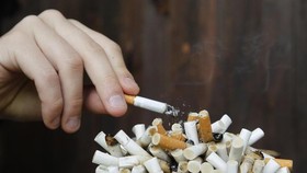 Rokok 'Bakar' Duit Kesehatan Hingga US$1,4 Triliun