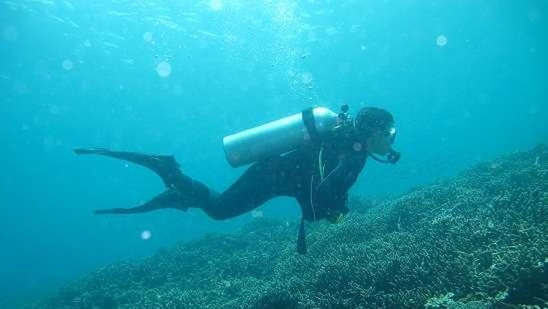 Peserta Fam Trip Minat Khusus Diving Pasar Singapura dan Malaysia dibuat takjub dengan keindahan di Labuan Bajo.