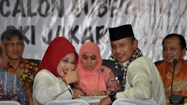Dua kader Partai Demokrat, yakni Ruhut Sitompul dan Hayono Isman, memilih untuk mendukung Basuki Tjahaja Purnama-Djarot Saiful Hidayat.