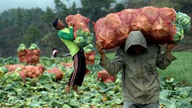 Alokasi Subsidi Naik, <i>Kok</i> Nasib Petani Tambah Sengsara