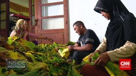 Tembakau Srinthil di Lereng Sumbing