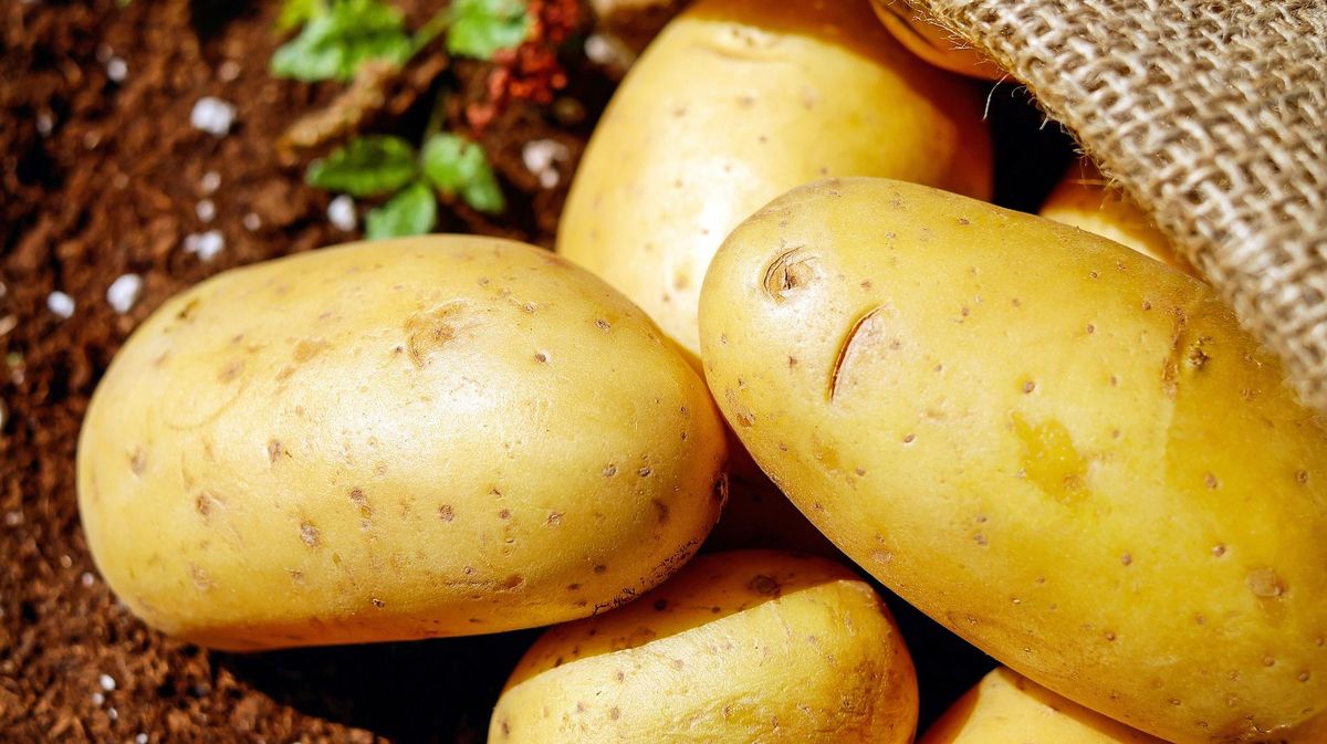 12 Makanan Kaya Kalium, Asupan Penting bagi Saraf dan Jantung