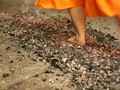 Ritual Balia, Menyembuhkan Sakit dengan Injak Bara Api