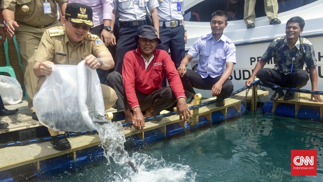 Peningkatan itu dilakukan dengan penambahan bibit ikan yang semula hanya 60 ribu bibit per tahun, menjadi 120 ribu bibit per tahun untuk budidaya ikan.