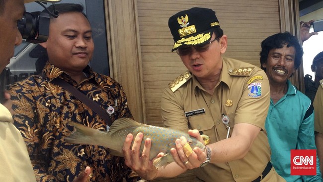 Ahok menaksir ada sekitar 50 ribu kepala keluarga yang bakal tergusur. Penggusuran ditargetkan selesai pada 2018 untuk menghadapi Asian Games.