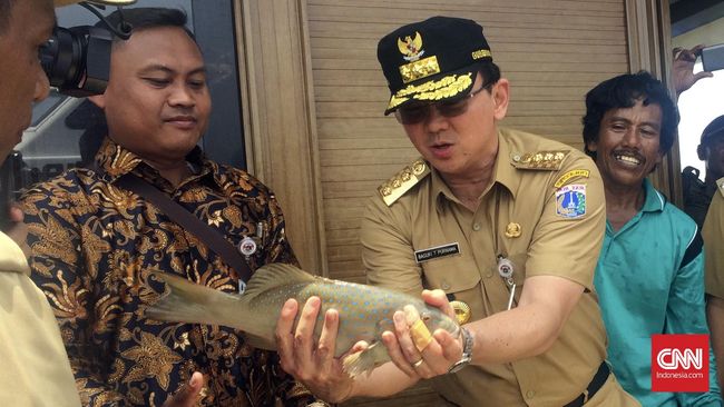 Jelang Pilkada dan Asian Games, Ahok Gencarkan Penggusuran Ahok menaksir ada sekitar 50 ribu kepala keluarga yang bakal tergusur. Penggusuran ditargetkan selesai pada 2018 untuk menghadapi Asian Games.