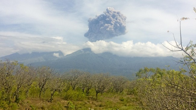 BNPB memastikan ratusan wisatawan selamat setelah adanya upaya evakuasi dari Gunung Rinjani, usai Gunung Barujari, anak Rinjani, meletus kemarin.
