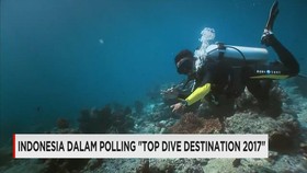Indonesia Masuk Daftar Destinasi Selam Terbaik