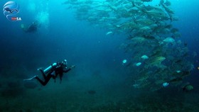 Yuk, Dukung Indonesia Menjadi Top Dive Destination 2017!