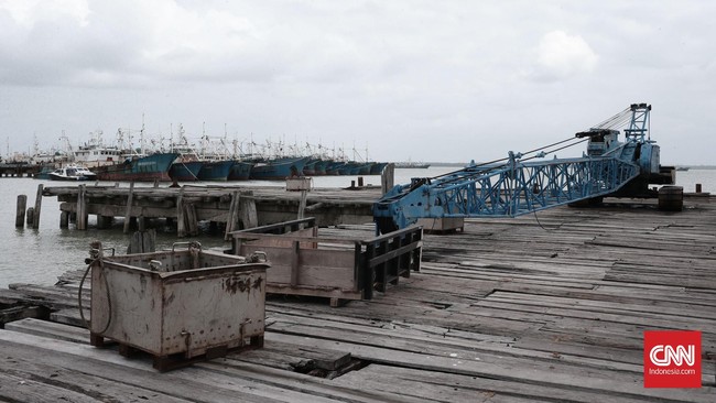 Bupati Merauke ingin perusahaan ikan yang bermasalah, dapat kembali beroperasi karena mereka turut menyejahterakan nelayan. KKP justru menyatakan sebaliknya.