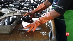 Moratorium Eks Kapal Asing 'Tenggelamkan' Pendapatan Nelayan