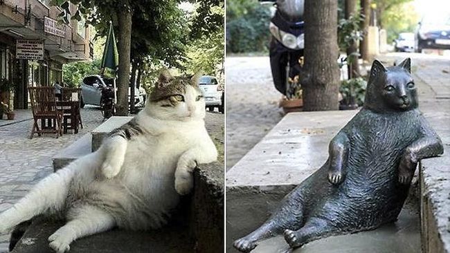 Tombili, si kucing super santai, meninggal pada 1 Agustus 2016 lalu. Untuk menghormatinya, penduduk Istanbul membuat patung perunggu.