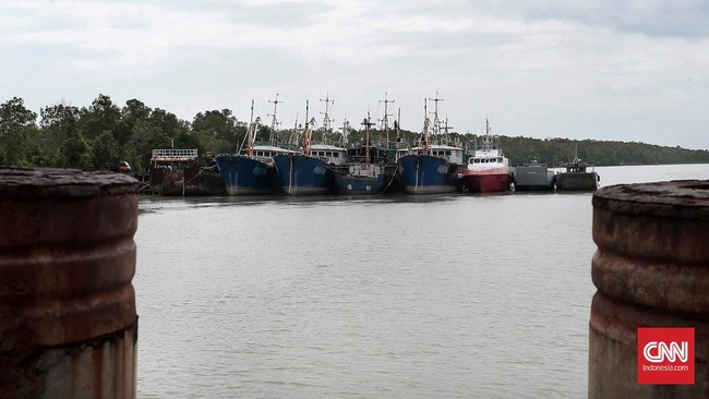 Vonis bagi perusahaan yang diduga mencuri ikan di Merauke, menyisakan masalah selanjutnya: karyawan yang berhenti bekerja dan aset perusahaan terbengkalai.