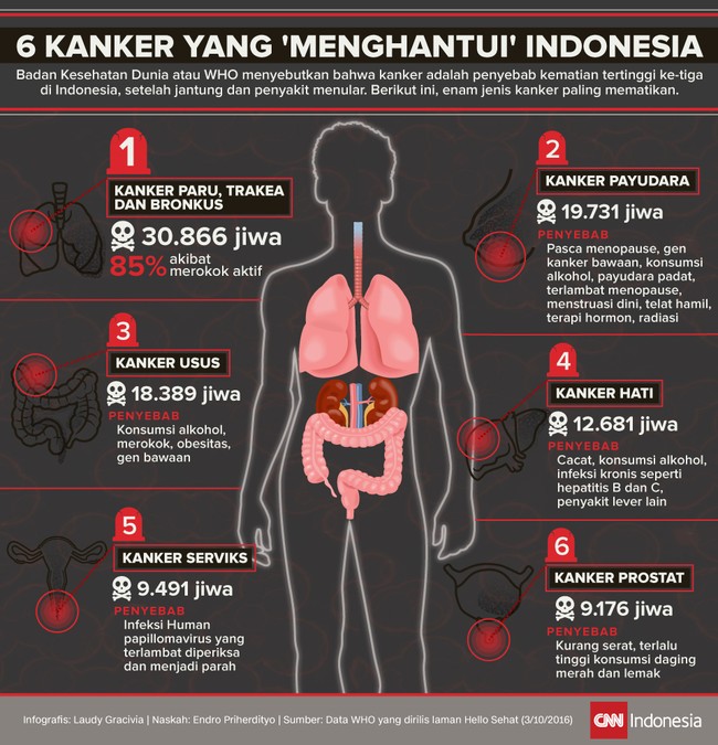 WHO menyebut kanker sebagai penyebab kematian tertinggi ke-tiga di Indonesia, setelah jantung dan penyakit menular.