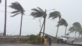 Hantam Florida, Topan Matthew Tewaskan 4 Warga AS