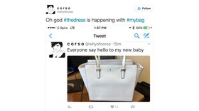 'The Bag,' Era Baru Perdebatan Warna 'The Dress'