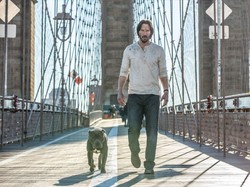 Sinopsis Film John Wick: Membayar Dendam Pada Putra Bos Mafia