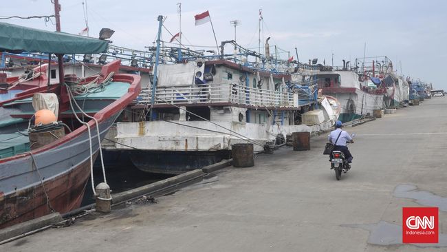 Mogok Kerja Pengusaha Ikan Muara Baru Klaim Rugi Rp30 Miliar