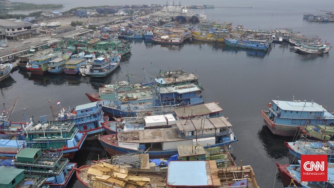 Kawasan Pelabuhan Muara Baru seluas 26,8 hektare dikuasai lima pengusaha. Sisanya, hanya bekerja sebagai nelayan kecil, buruh, dan anak buah kapal.