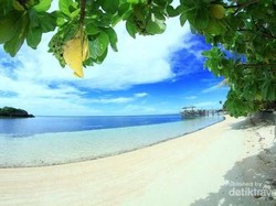 Cara Ampuh Tanamkan Cinta Lingkungan pada Anak