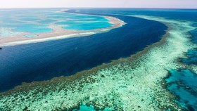 Australia Kucurkan Rp23 Triliun Demi Great Barrier Reef