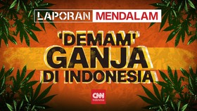 'Demam' Ganja di Indonesia