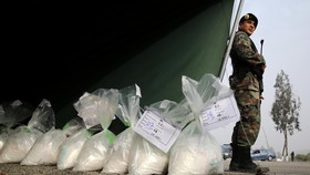 Otoritas Panama Sita Empat Ton Kokain
