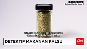 Detektif Makanan Palsu