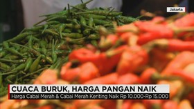 Harga Komoditas Pangan Naik