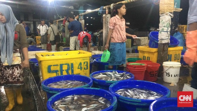 Safrudin penjual tuna merah mengaku tak ingin berhenti berjualan. Jika berhenti, stok tuna yang ada akan segera membusuk dan tidak bisa dipasarkan.